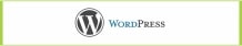 Basic Wordpress Website digital marketing